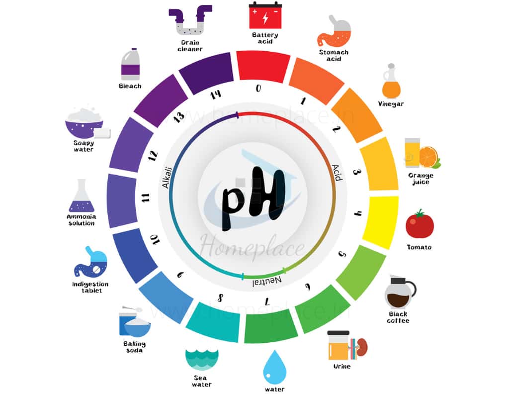 drinking water pH scale chart