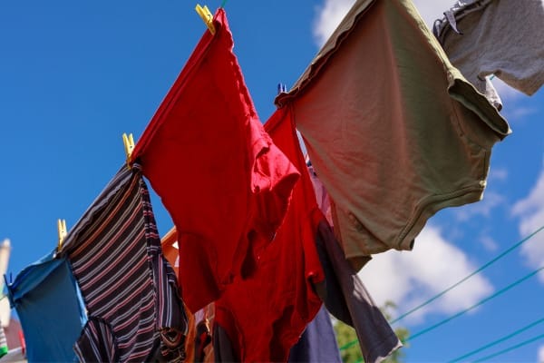 drying steamed garments